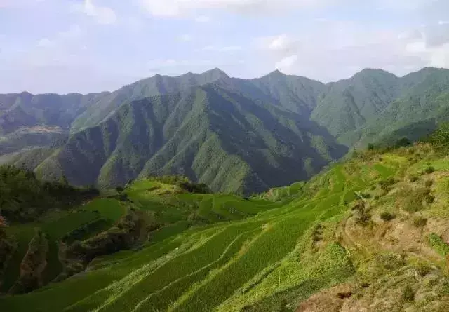 仙寓山旅游攻略_仙寓山农家乐包吃住多少钱_仙寓山民宿