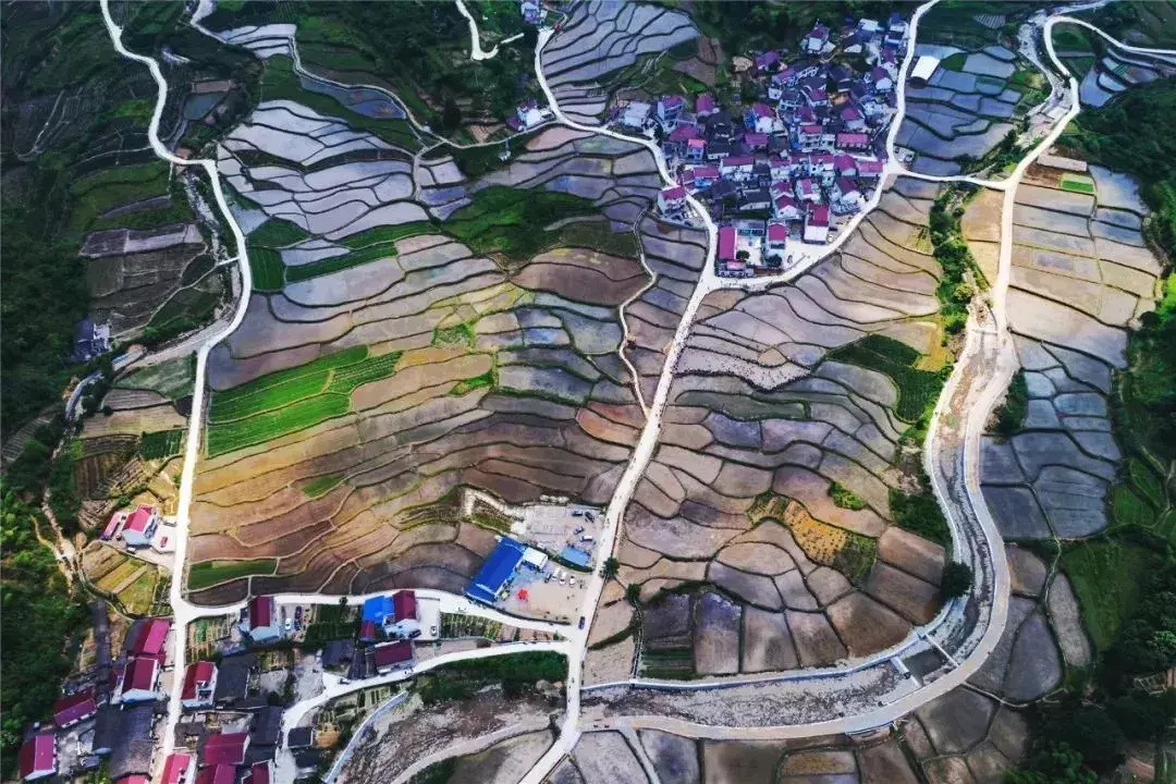 仙寓山导游词_仙寓山旅游攻略_仙寓山农家乐包吃住多少钱