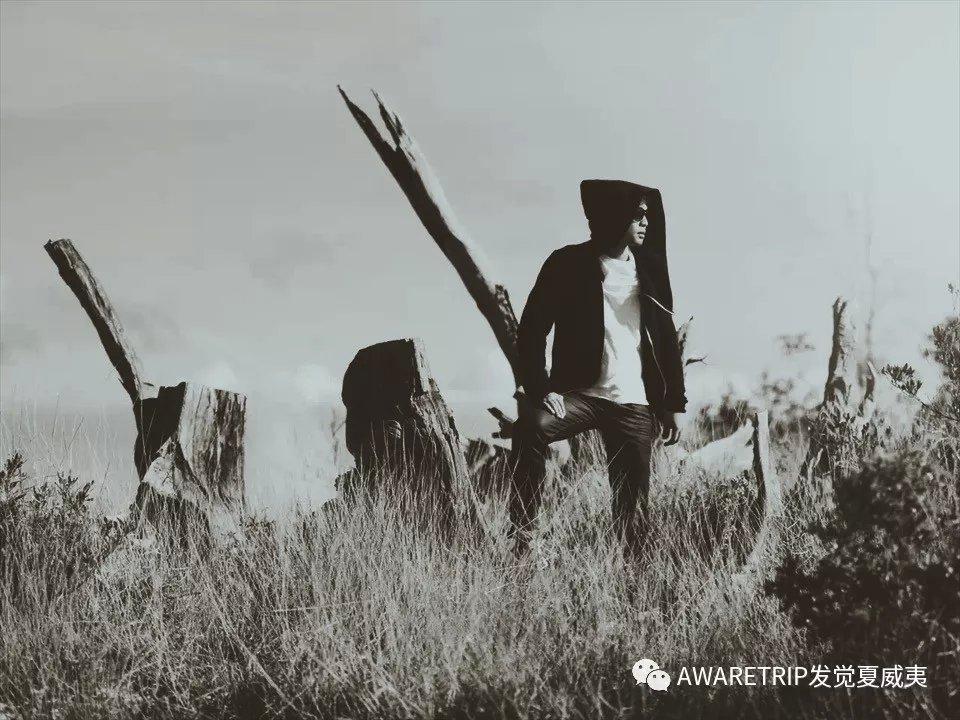 夏威夷大岛一日游_夏威夷攻略大岛旅游多少钱_夏威夷大岛旅游攻略