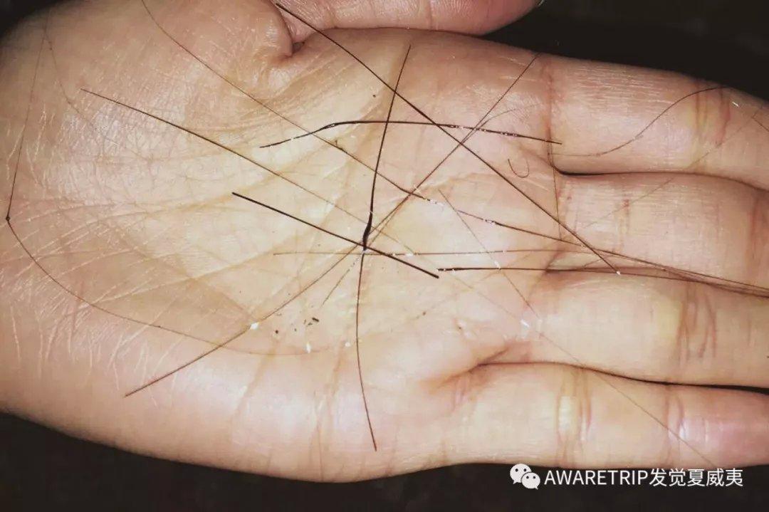 夏威夷攻略大岛旅游多少钱_夏威夷大岛一日游_夏威夷大岛旅游攻略