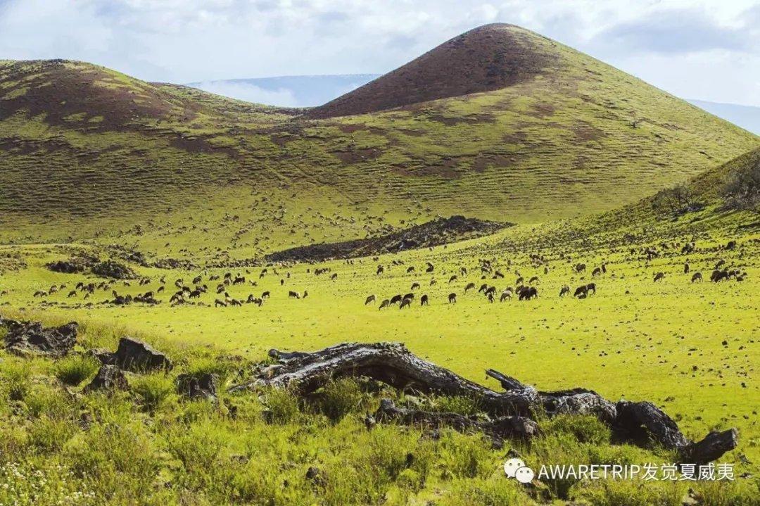 夏威夷大岛一日游_夏威夷攻略大岛旅游多少钱_夏威夷大岛旅游攻略