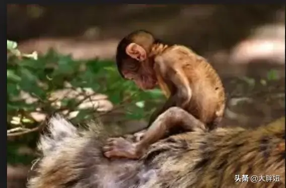 斯特拉斯堡旅游攻略_斯特拉斯堡旅游景点_斯特拉斯堡游记