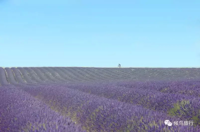 斯特拉斯堡旅游攻略_斯特拉斯堡旅游景点_斯特拉斯堡旅游