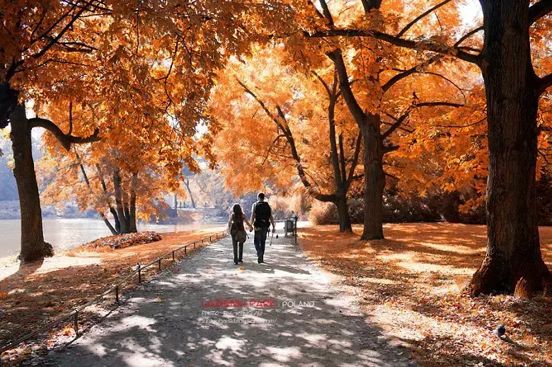 斯特拉斯堡旅游景点_斯特拉斯堡旅游_斯特拉斯堡旅游攻略