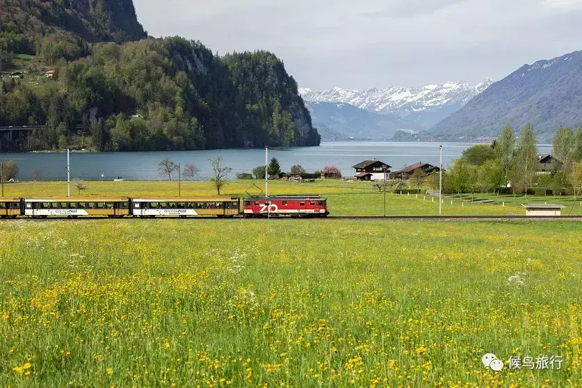 斯特拉斯堡旅游_斯特拉斯堡旅游景点_斯特拉斯堡旅游攻略