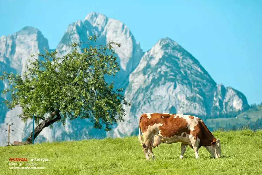 斯特拉斯堡旅游_斯特拉斯堡旅游景点_斯特拉斯堡旅游攻略