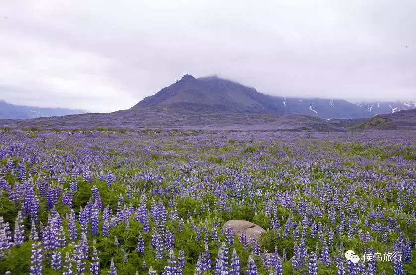 斯特拉斯堡旅游景点_斯特拉斯堡旅游攻略_斯特拉斯堡旅游