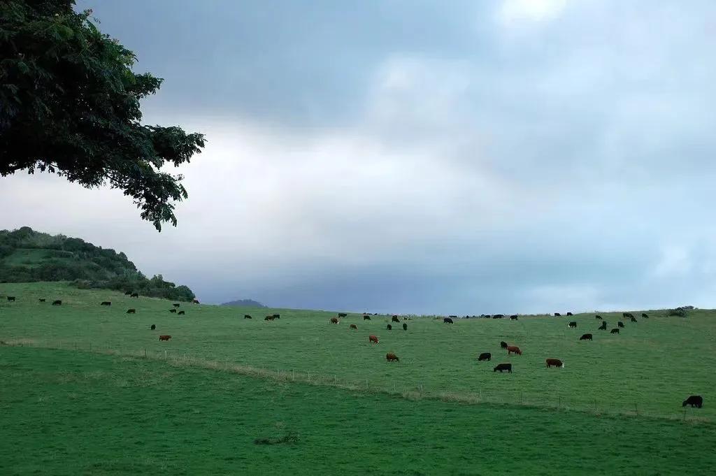 夏威夷大岛旅游攻略_夏威夷大岛五日游_夏威夷大岛景点