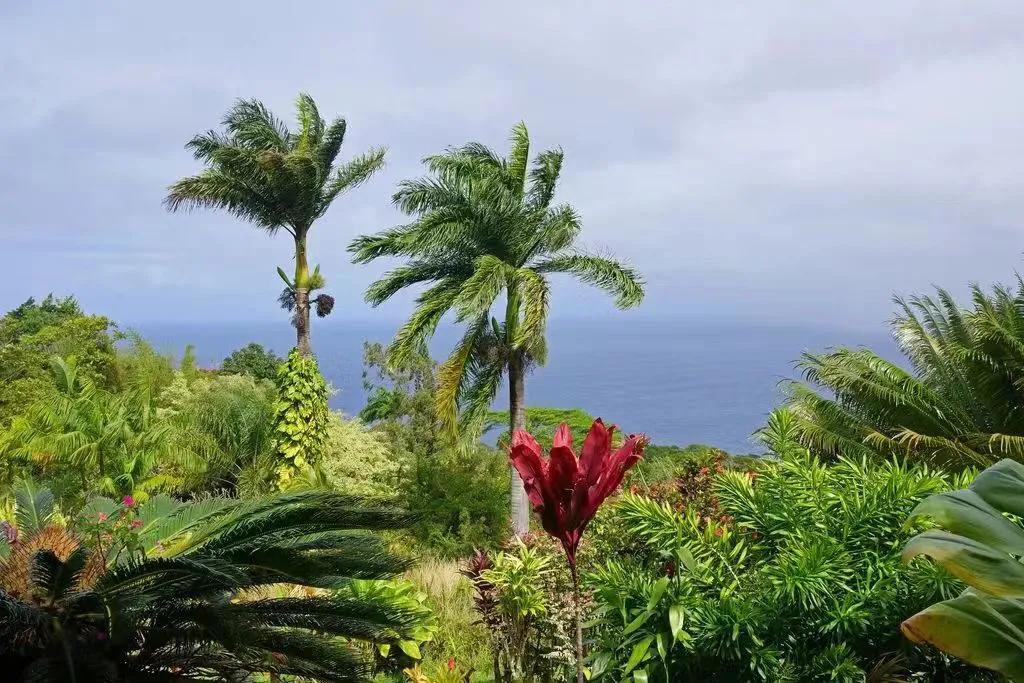 夏威夷大岛五日游_夏威夷大岛旅游攻略_夏威夷大岛景点