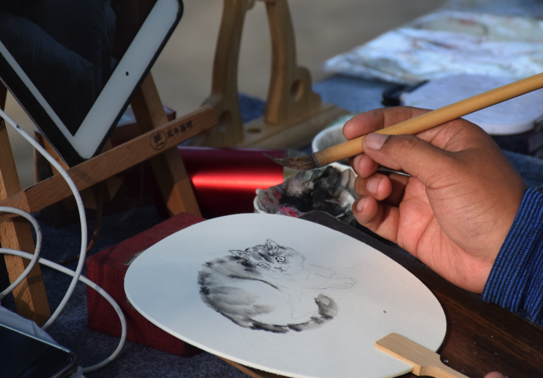 普者黑坝美自助游攻略_坝美普者黑旅游攻略_普者黑和坝美哪个好玩