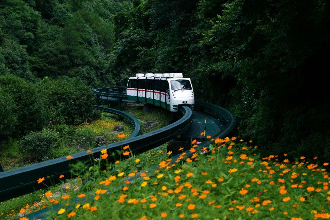 溪口风情街在哪_浙江溪口风景详细介绍_浙江溪口风景区旅游攻略