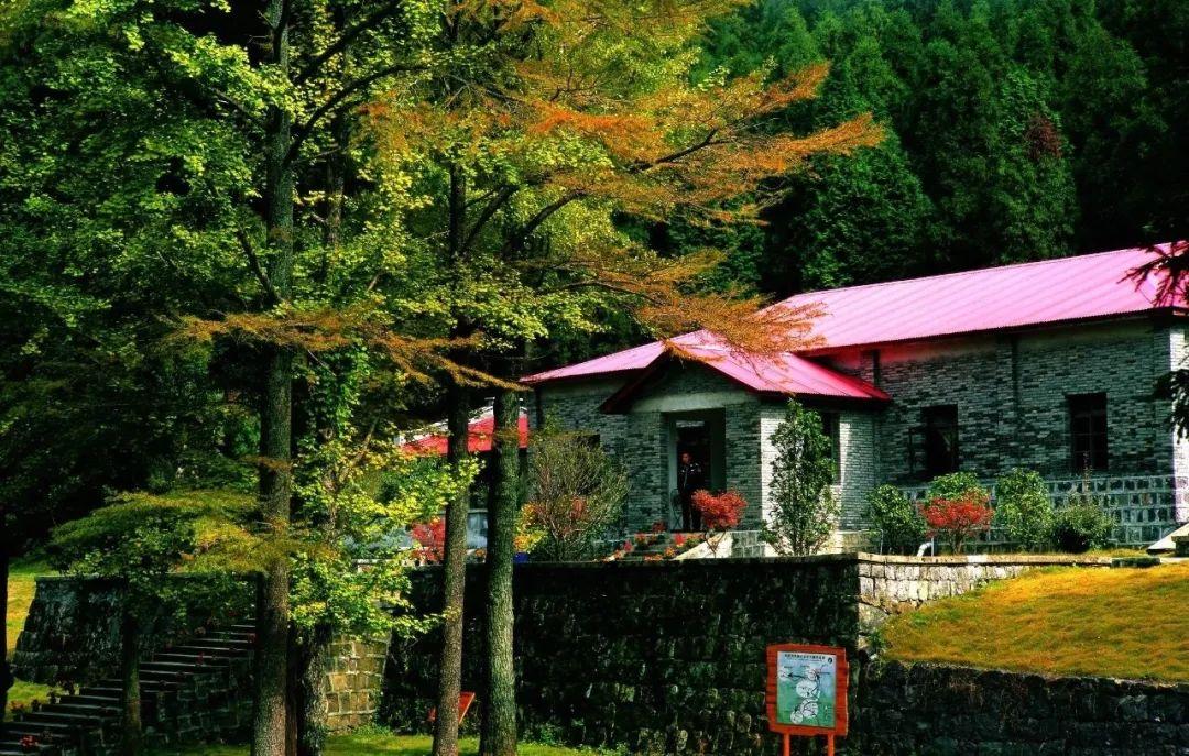 浙江溪口风景详细介绍_溪口风情街在哪_浙江溪口风景区旅游攻略