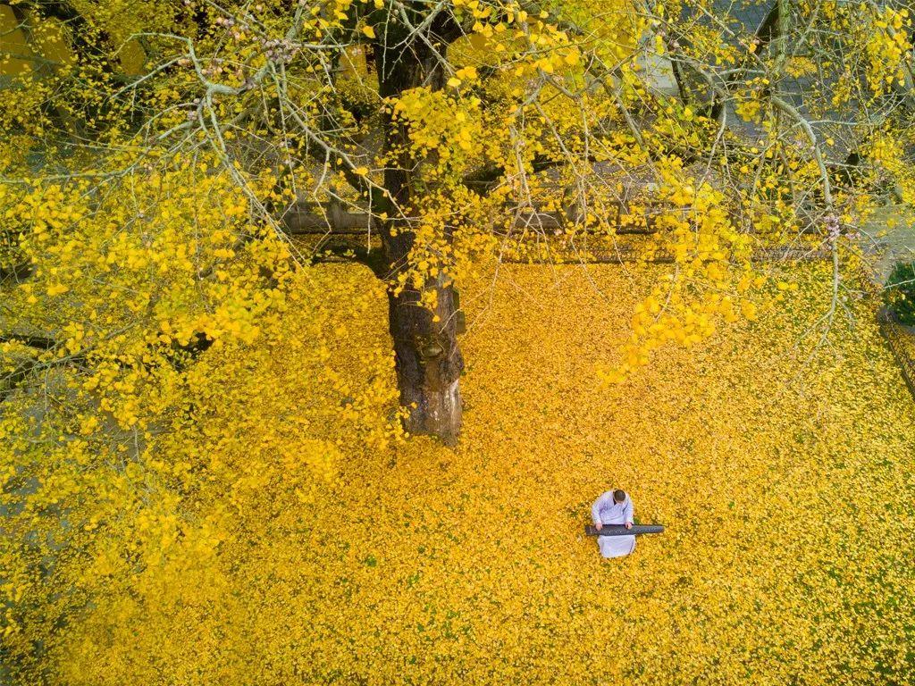 浙江溪口风景区旅游攻略_溪口风情街在哪_浙江溪口风景详细介绍