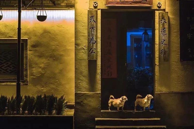 浙江溪口风景区旅游攻略_浙江溪口风景详细介绍_溪口风情街在哪