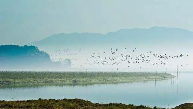 仙寓山民宿_仙寓山导游词_仙寓山旅游攻略