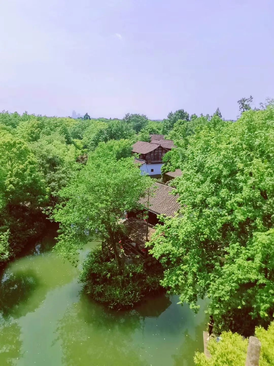 西溪湿地西区旅游攻略_西溪湿地旅游景区_西溪湿地游览路线