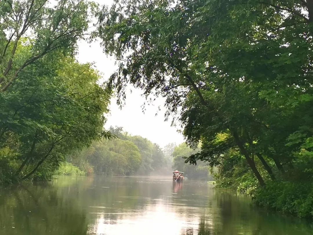 西溪湿地西区旅游攻略_西溪湿地旅游景区_西溪湿地游览路线
