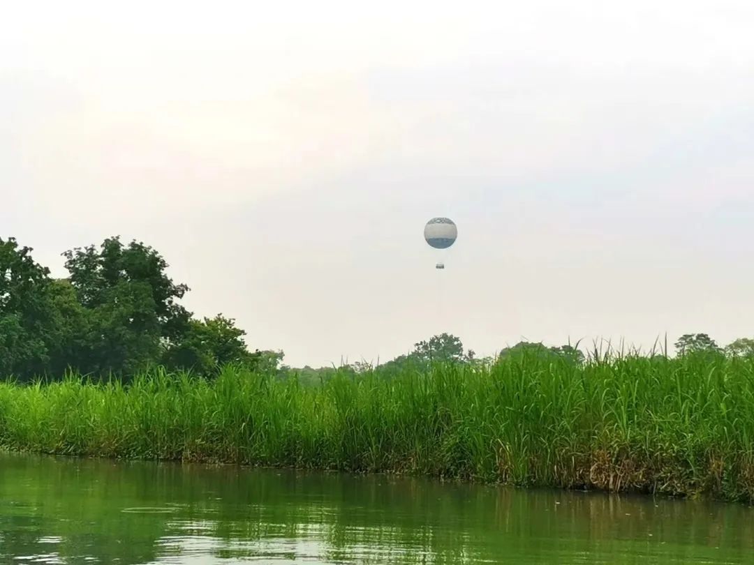 西溪湿地旅游景区_西溪湿地游览路线_西溪湿地西区旅游攻略