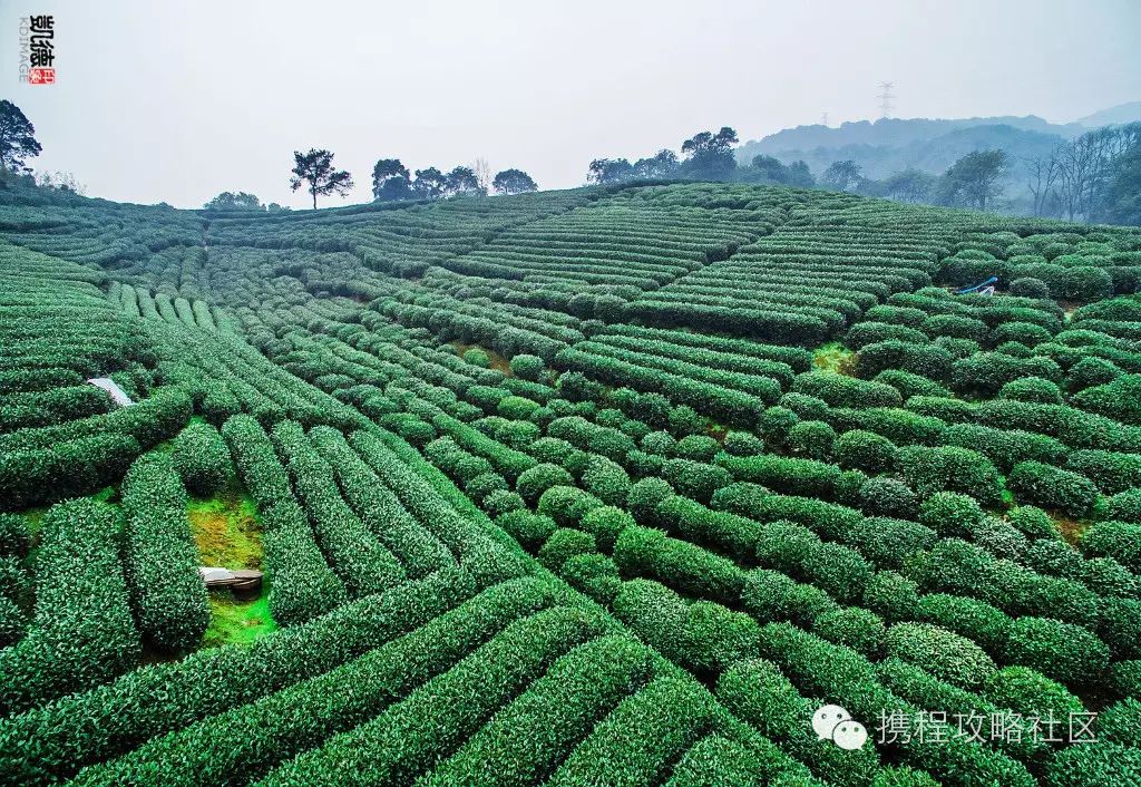 西溪湿地游览路线_西溪湿地西区旅游攻略_西溪湿地西区门票价格
