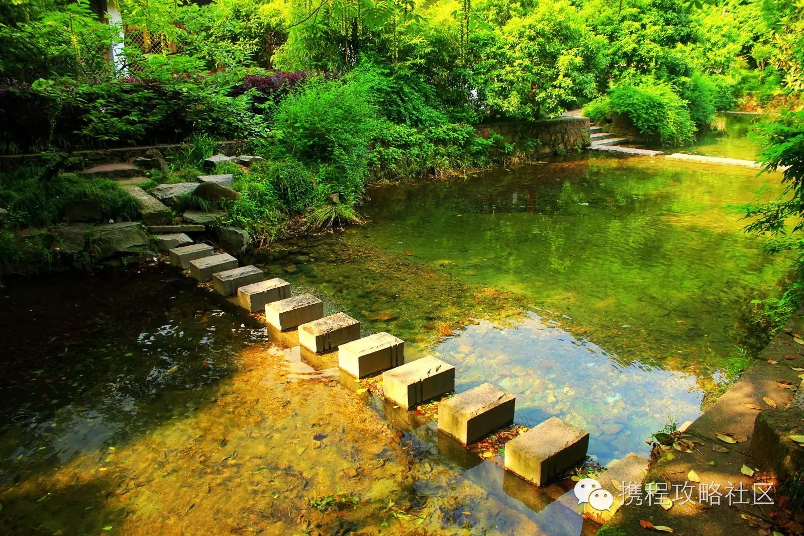 西溪湿地西区旅游攻略_西溪湿地游览路线_西溪湿地西区门票价格