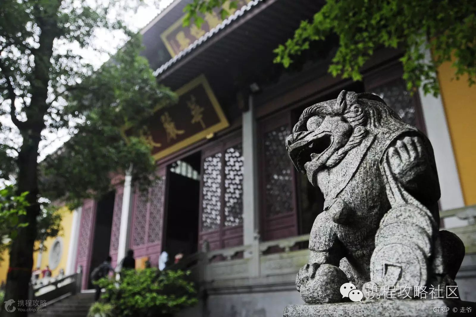 西溪湿地西区旅游攻略_西溪湿地游览路线_西溪湿地西区门票价格