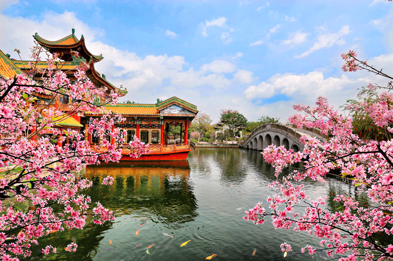 番禺莲花山海鸥岛旅游攻略_番禺海鸥岛游玩攻略_番禺海鸥岛介绍