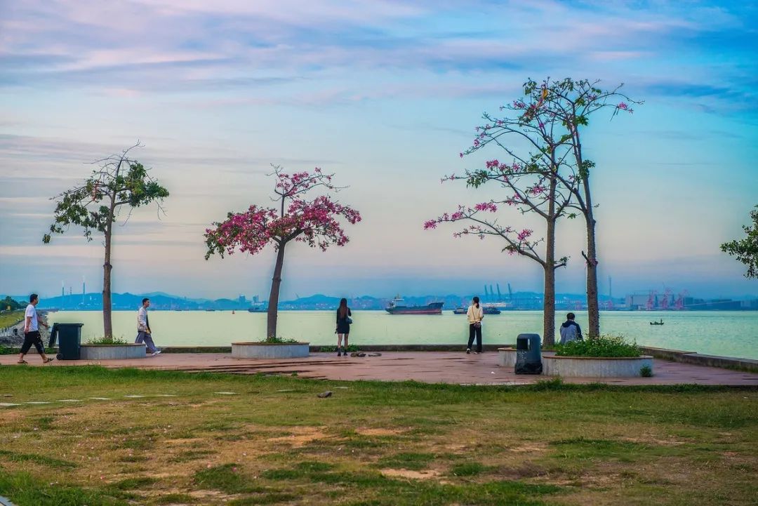 番禺海鸥岛游玩攻略_番禺莲花山海鸥岛旅游攻略_番禺海鸥岛介绍