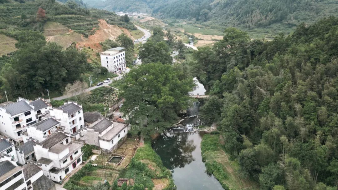 安徽徽州景点_安徽徽州旅游攻略_徽州旅游