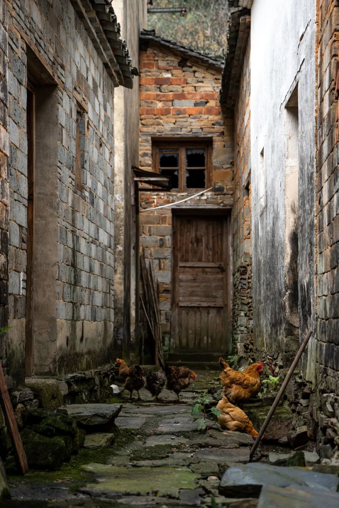 安徽徽州景点_安徽徽州旅游攻略_徽州旅游