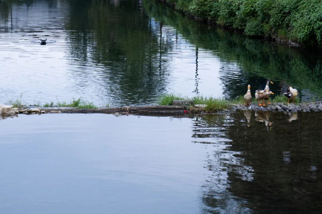安徽徽州旅游攻略_徽州旅游_安徽徽州景点