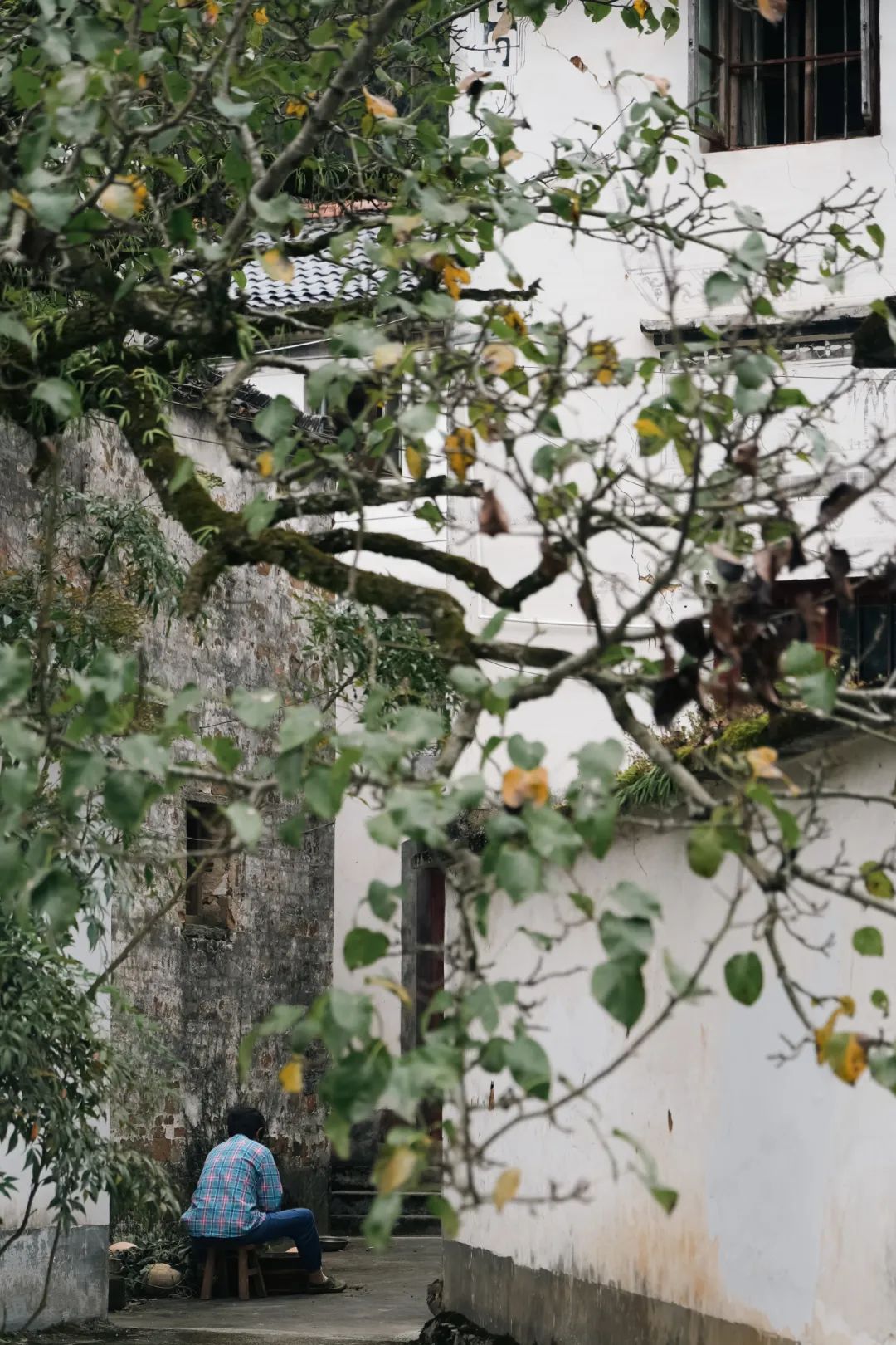 安徽徽州旅游攻略_徽州旅游_安徽徽州景点