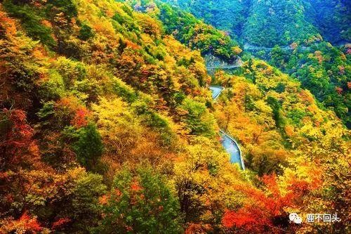 神农架木鱼镇旅游攻略-神农架木鱼镇避暑