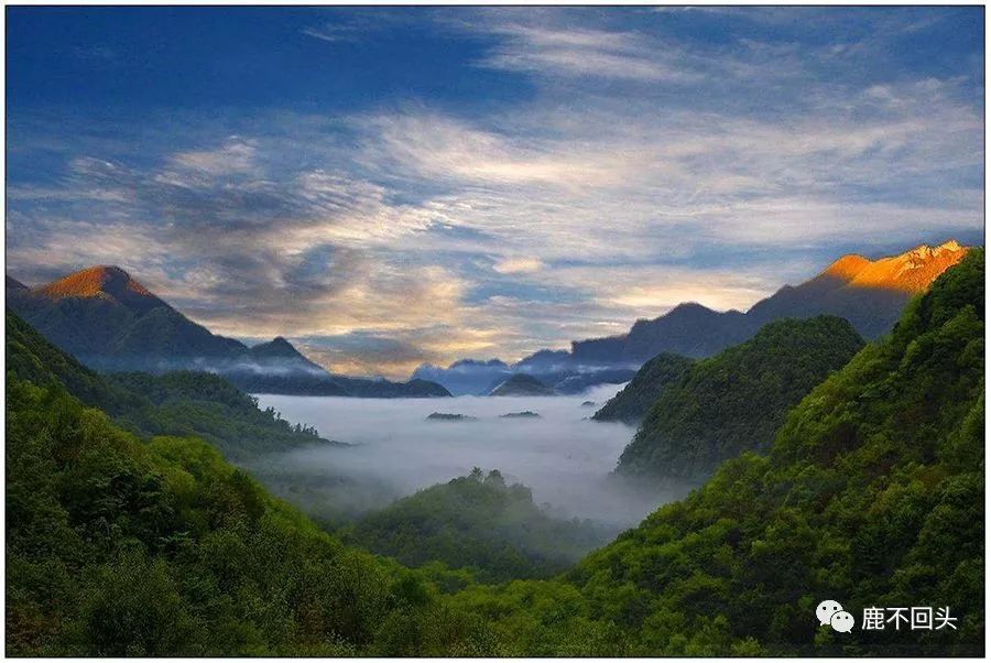 神农架木鱼镇旅游攻略_神农架木鱼镇避暑_神农架木鱼镇特色菜