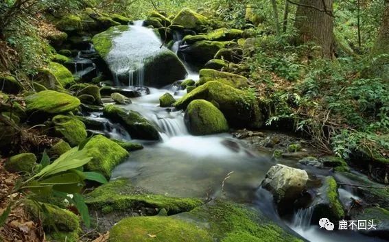 神农架木鱼镇特色菜_神农架木鱼镇避暑_神农架木鱼镇旅游攻略