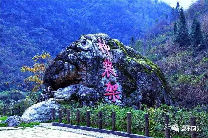 神农架木鱼镇旅游攻略_神农架木鱼镇特色菜_神农架木鱼镇避暑