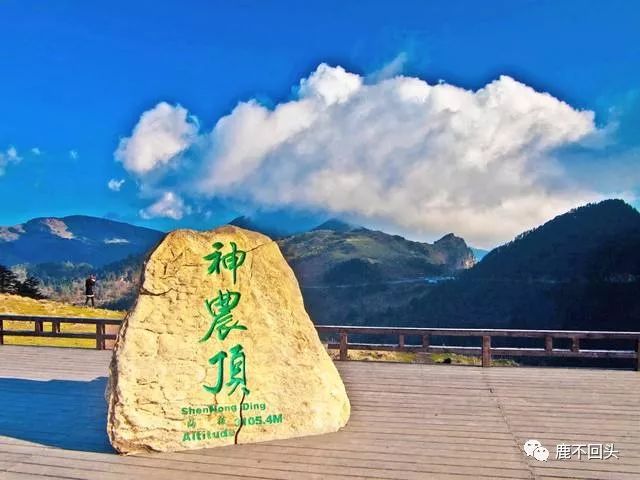 神农架木鱼镇旅游攻略_神农架木鱼镇特色菜_神农架木鱼镇避暑