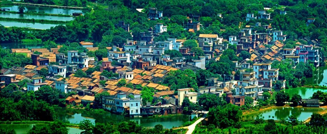 番禺海鸥岛门票多少钱_番禺海鸥岛游玩攻略_番禺莲花山海鸥岛旅游攻略