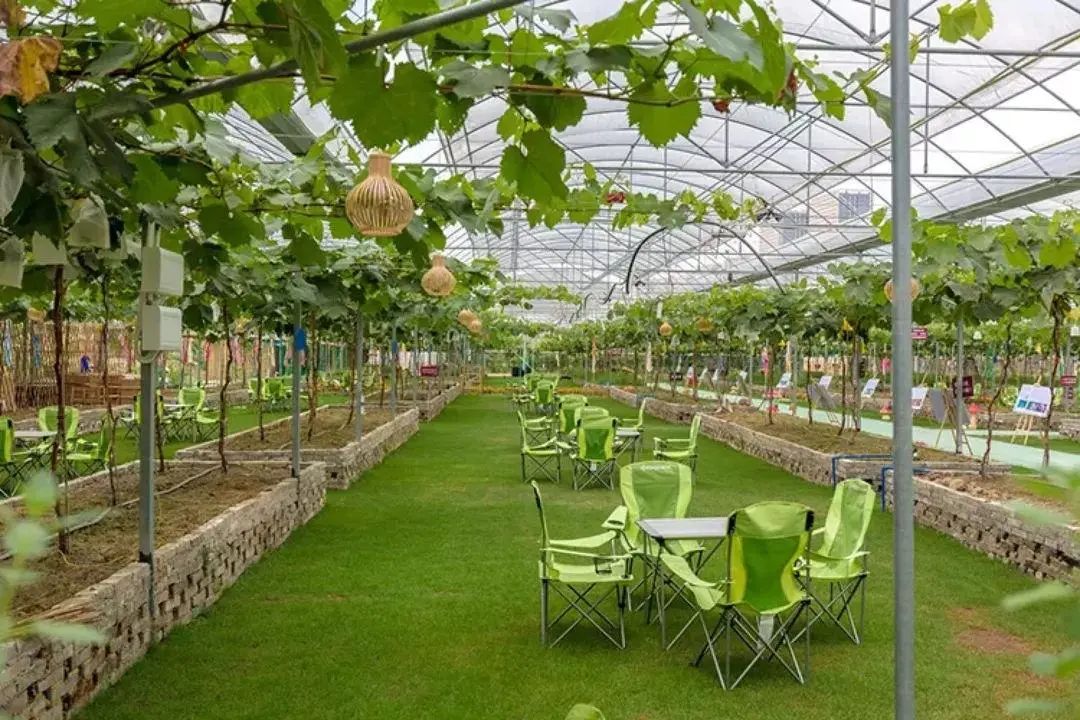 番禺海鸥岛游玩攻略_番禺海鸥岛门票多少钱_番禺莲花山海鸥岛旅游攻略