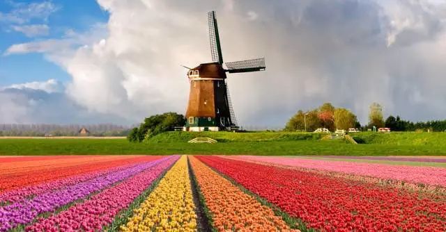 番禺莲花山海鸥岛旅游攻略_番禺海鸥岛门票多少钱_番禺海鸥岛游玩攻略