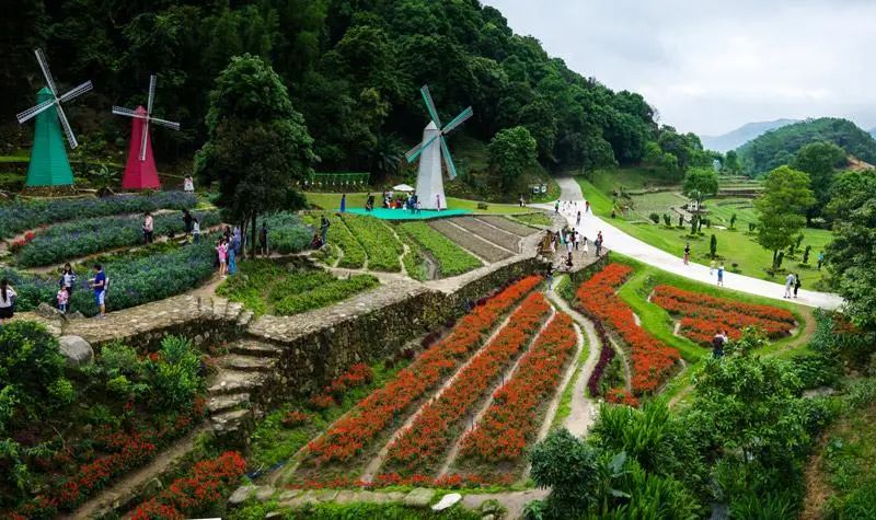 番禺莲花山海鸥岛旅游攻略_番禺海鸥岛游玩攻略_番禺海鸥岛门票多少钱