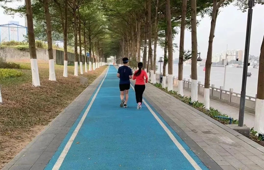 番禺海鸥岛游玩攻略_番禺莲花山海鸥岛旅游攻略_番禺海鸥岛门票多少钱