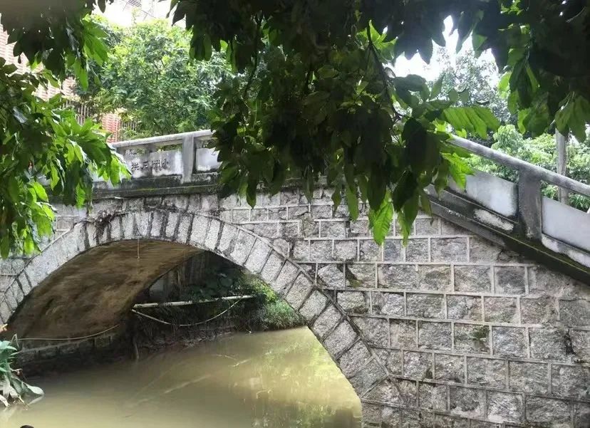 番禺海鸥岛游玩攻略_番禺莲花山海鸥岛旅游攻略_番禺海鸥岛门票多少钱