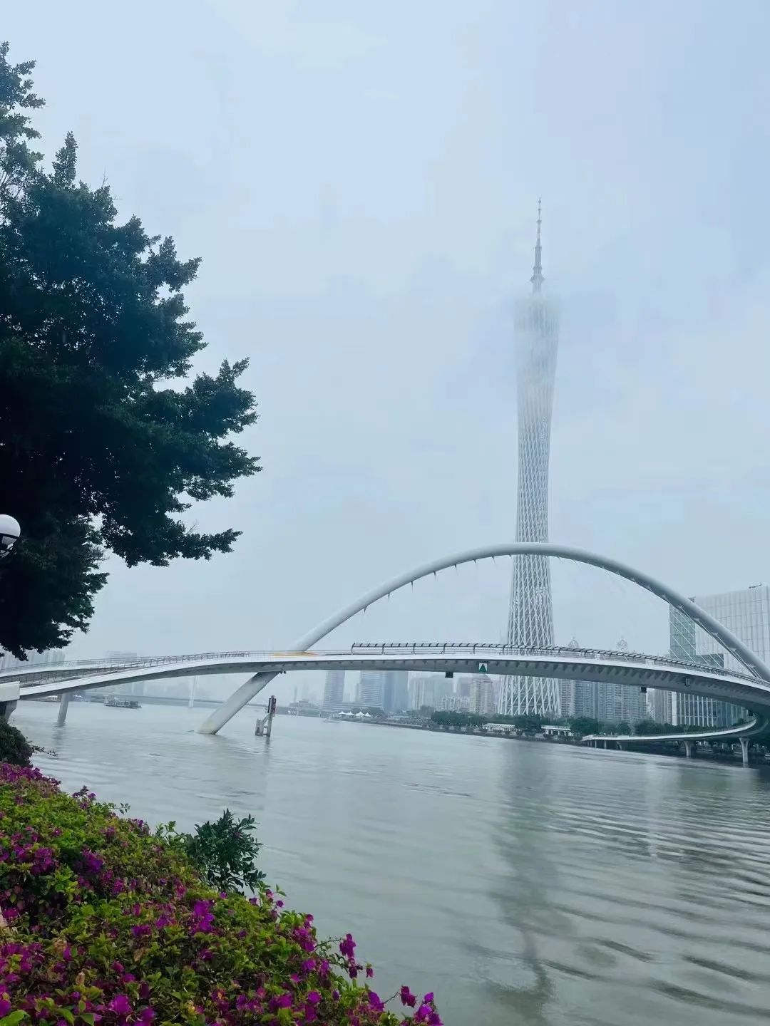 番禺海鸥岛游玩攻略_番禺莲花山海鸥岛旅游攻略_番禺海鸥岛门票多少钱