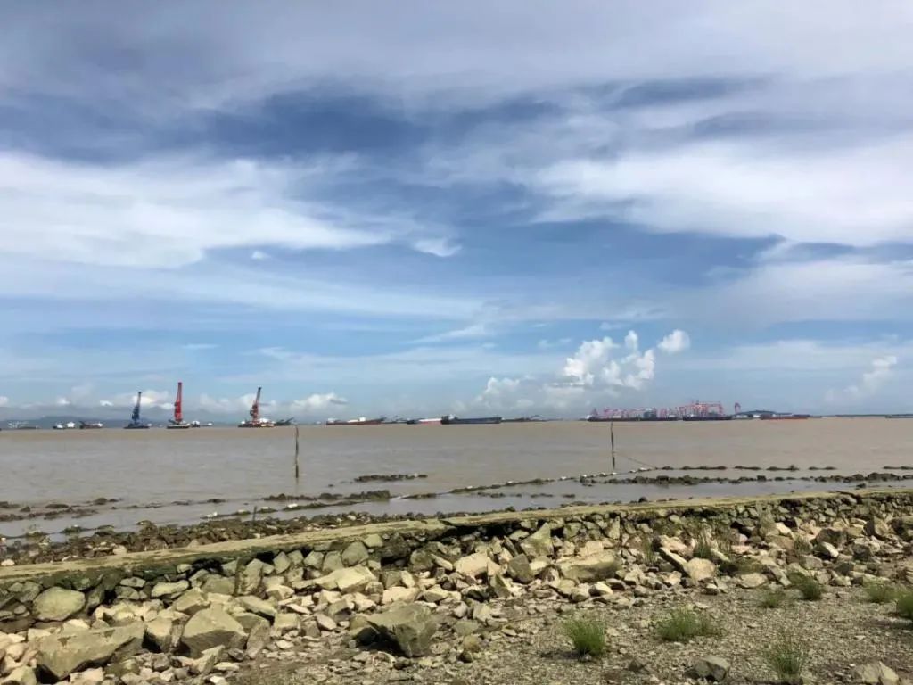 番禺海鸥岛门票多少钱_番禺莲花山海鸥岛旅游攻略_番禺海鸥岛游玩攻略