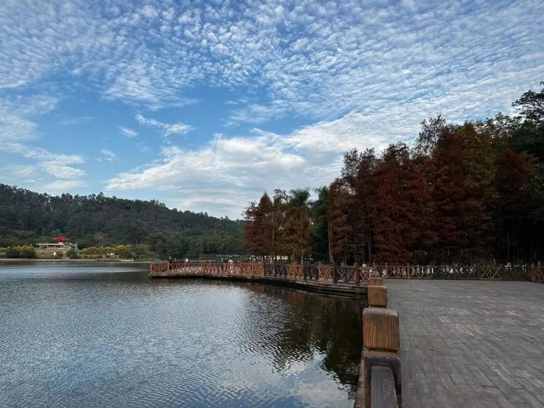 番禺海鸥岛游玩攻略_番禺莲花山海鸥岛旅游攻略_番禺海鸥岛门票多少钱