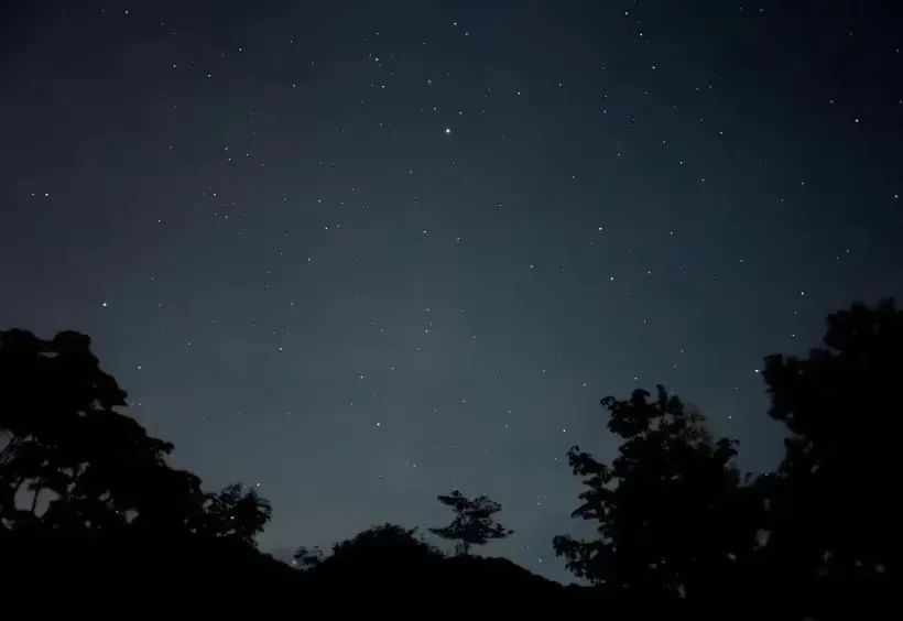 番禺莲花山海鸥岛旅游攻略_番禺海鸥岛游玩攻略_番禺海鸥岛门票多少钱