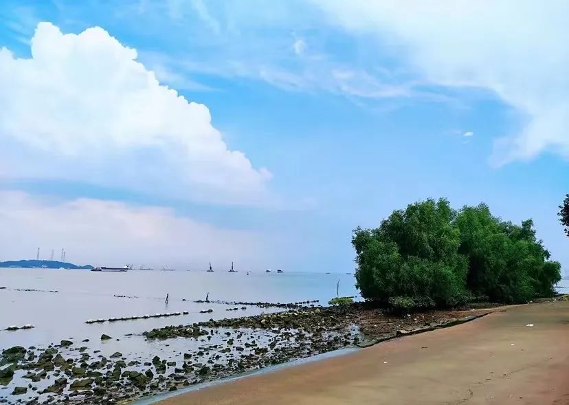 番禺海鸥岛游玩攻略_番禺海鸥岛门票多少钱_番禺莲花山海鸥岛旅游攻略