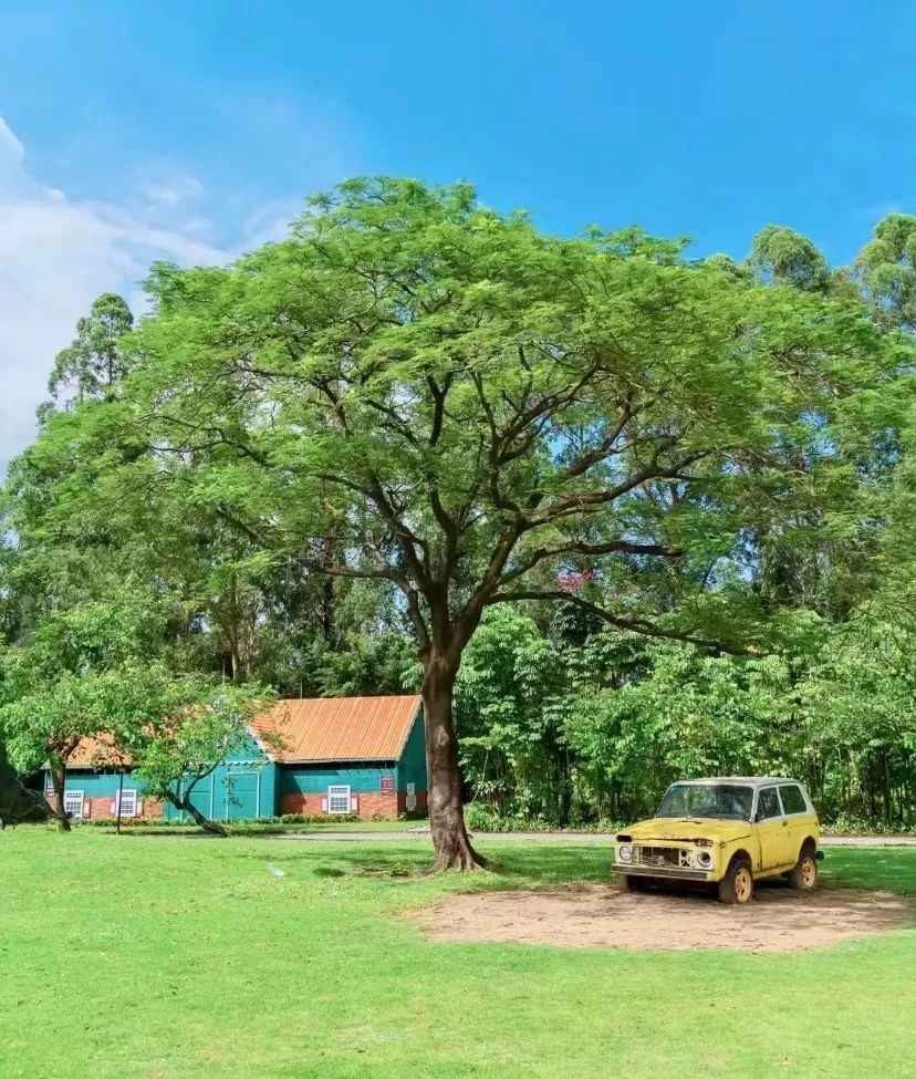 番禺莲花山海鸥岛旅游攻略_番禺海鸥岛门票多少钱_番禺海鸥岛游玩攻略