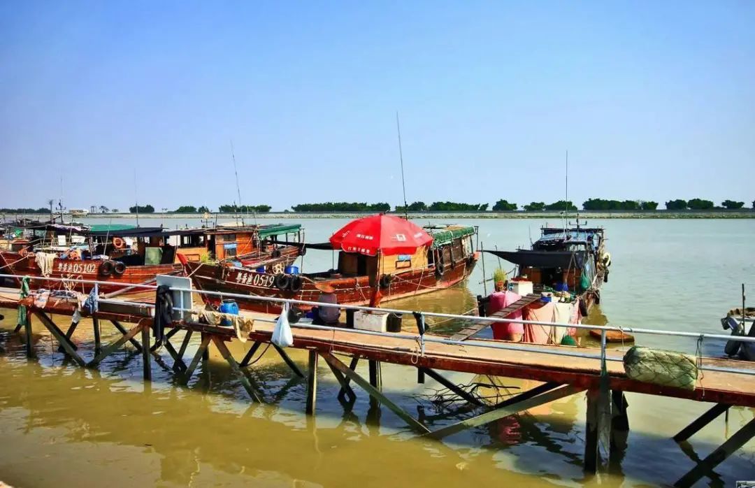 番禺海鸥岛游玩攻略_番禺莲花山海鸥岛旅游攻略_番禺海鸥岛门票多少钱