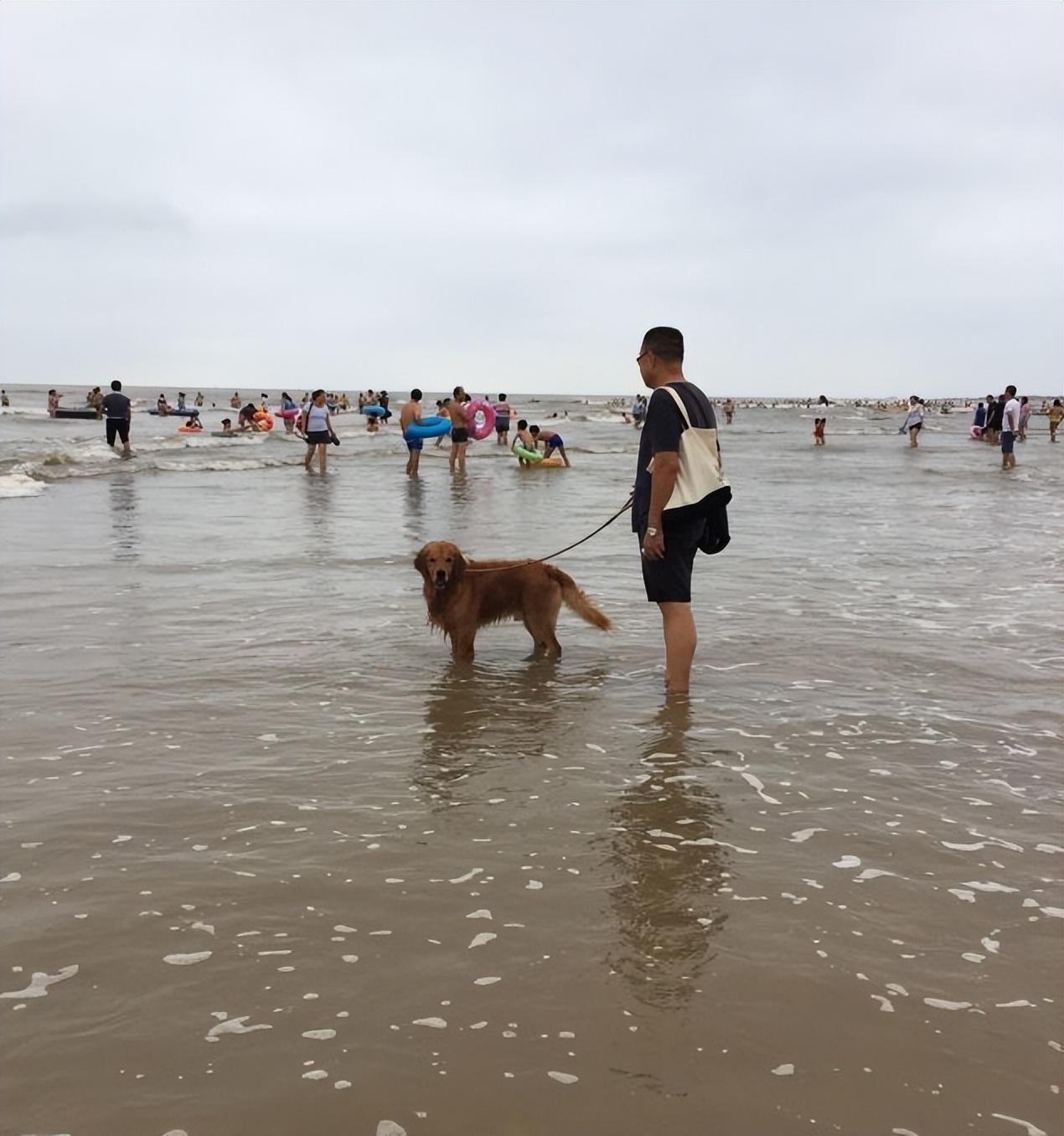 日照自驾攻略旅游游路线_日照自驾旅游攻略一日游_日照自驾游旅游攻略